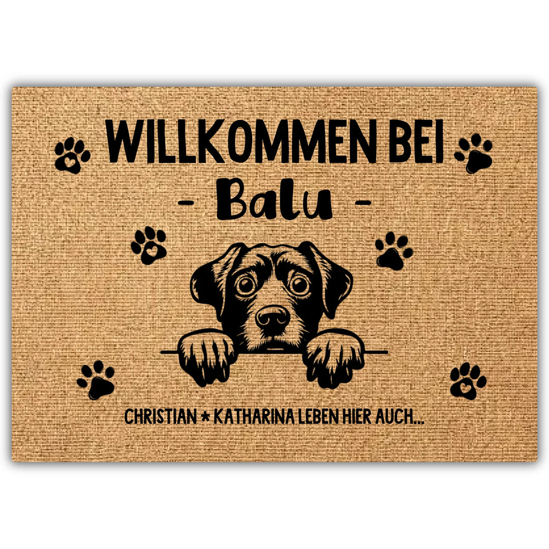 Design ohne Titel - 2026-03-29T092835.022