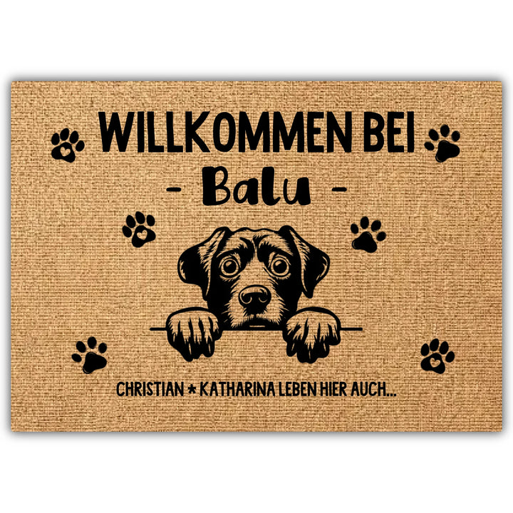 Design ohne Titel - 2026-03-29T092835.022